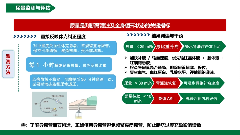 各类休克知识最全手册（急救护理）_第12页