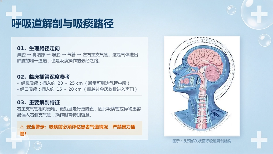 经鼻_口腔吸痰操作规范_第8页