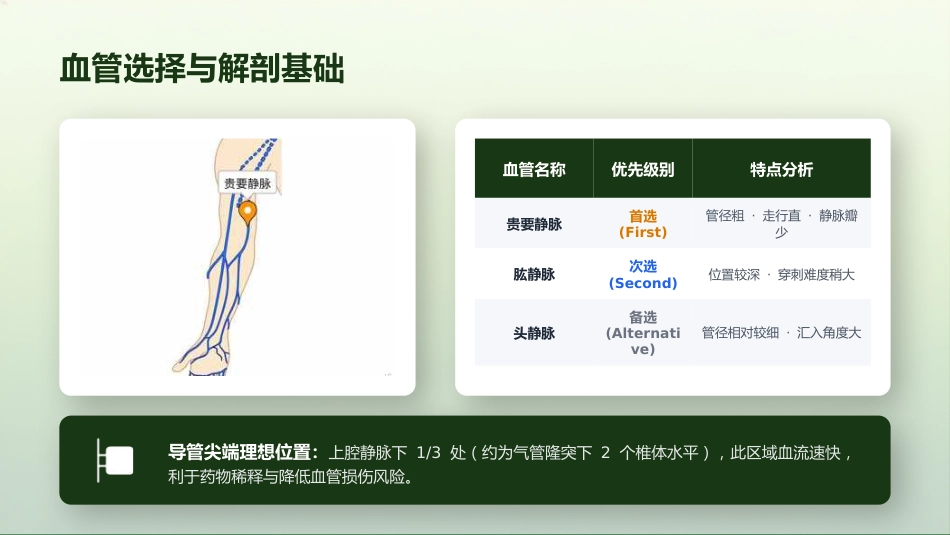 PICC导管护理全程管理_第6页