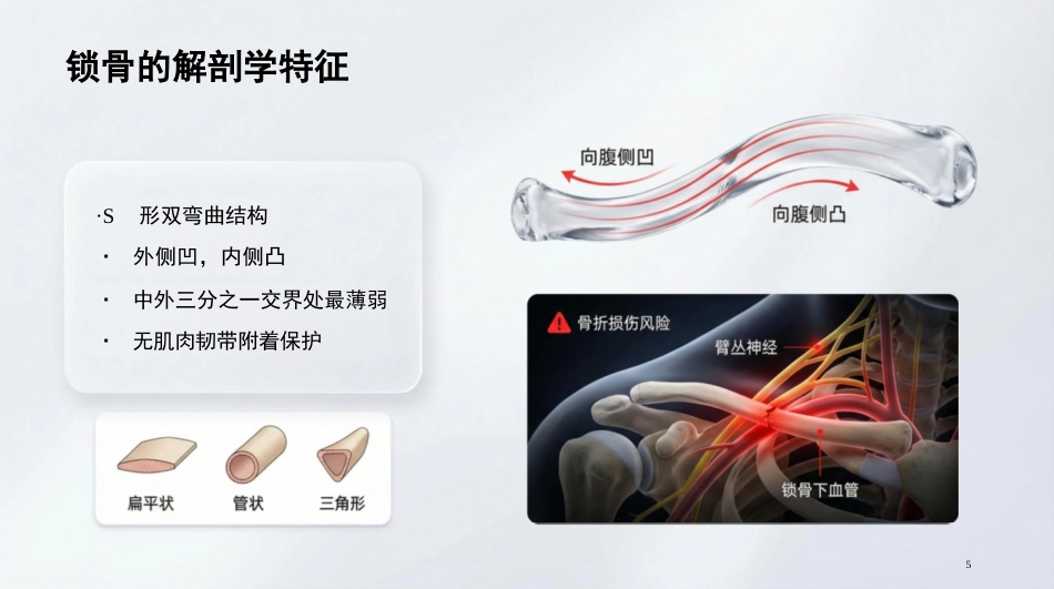 锁骨骨折_第4页