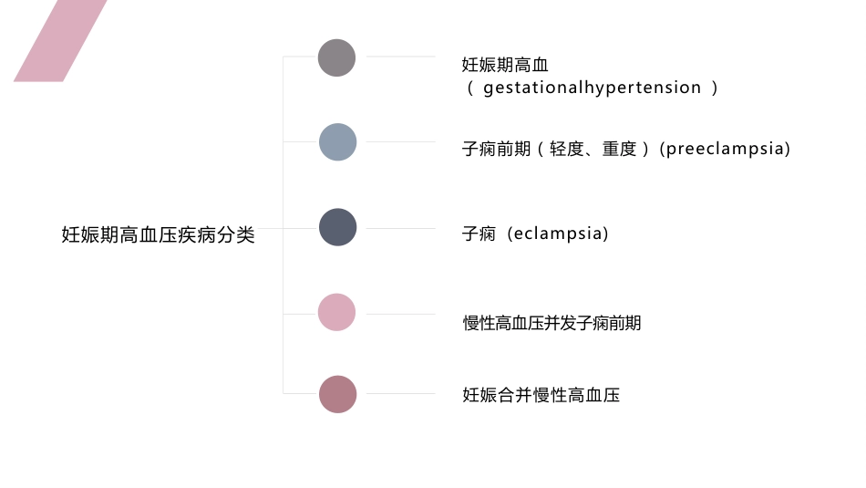 重度子痫前期护理查房_第4页