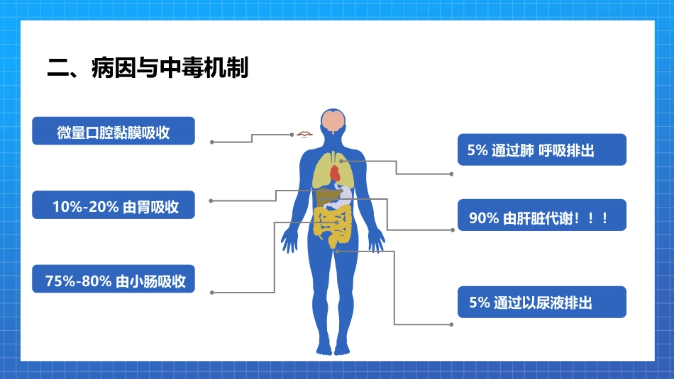 急性酒精中毒PPT模板_第6页