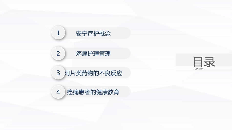 安宁疗护癌痛护理_第2页