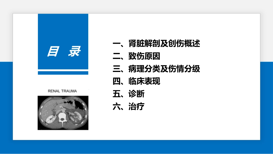肾脏损伤的诊治(肾创伤)_第2页