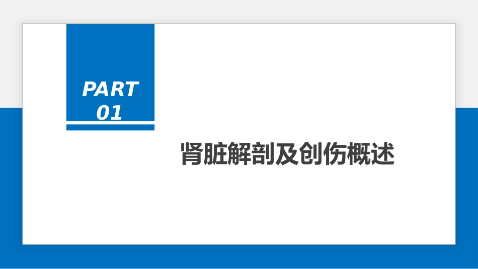 肾脏损伤的诊治(肾创伤)_第3页