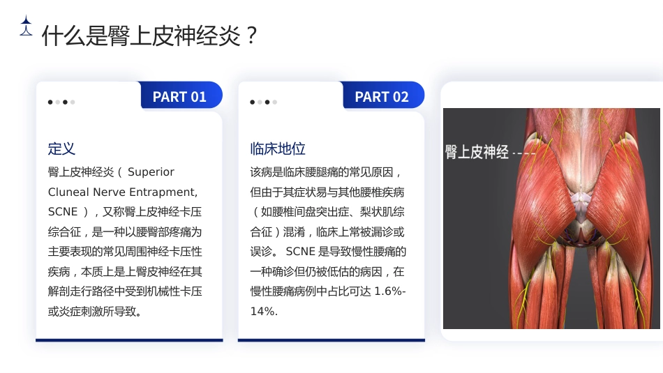 臀上皮神经炎护理查房带参考文献_第4页