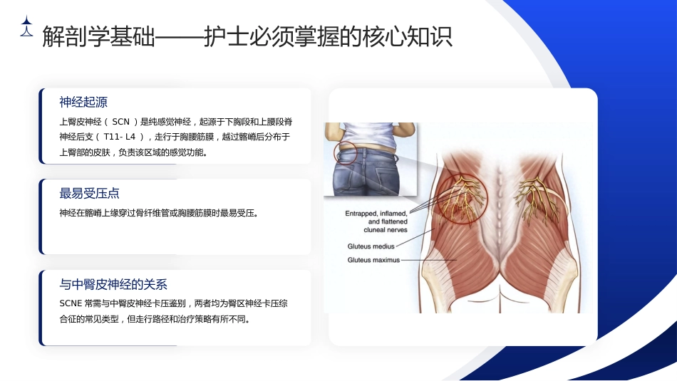 臀上皮神经炎护理查房带参考文献_第6页