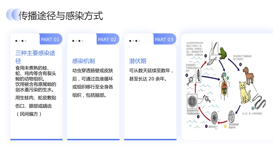 脑裂头蚴病护理查房_第6页