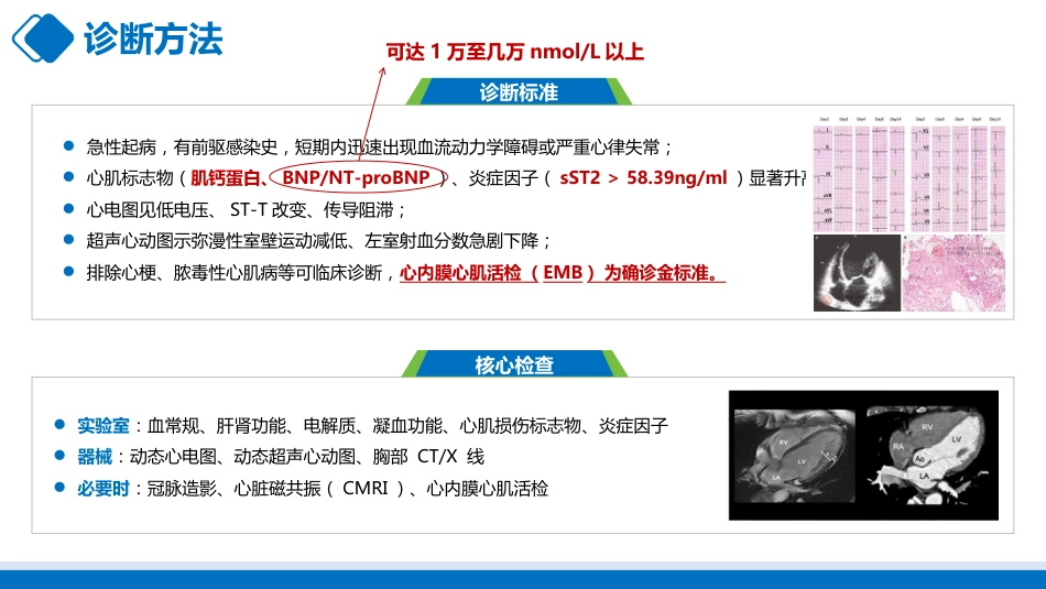 爆发性心肌炎的护理-1_第13页