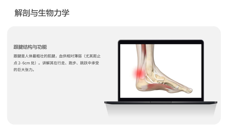 跟腱炎护理查房带参考文献_第5页