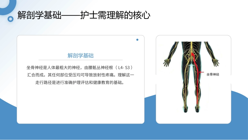 坐骨神经痛护理查房带参考文献_第6页