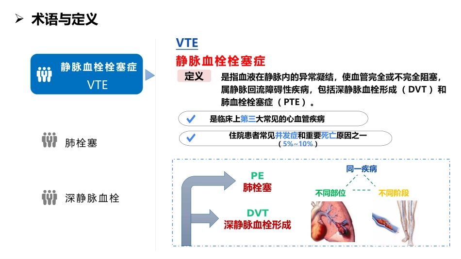 手术室静脉血栓栓塞症预防与护理专家共识_第2页