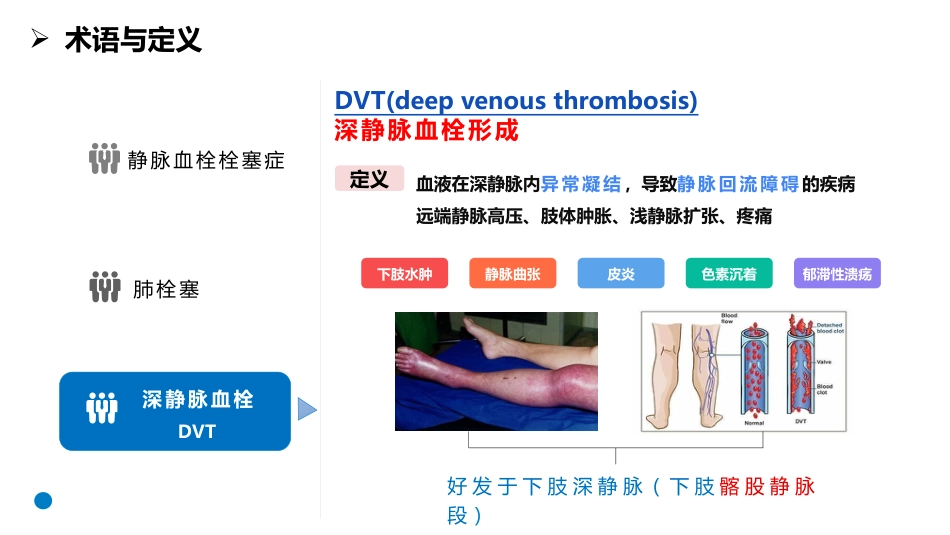 手术室静脉血栓栓塞症预防与护理专家共识_第4页