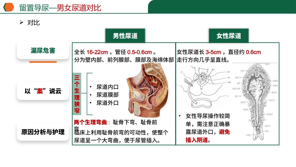 留置导尿患者漏尿_第7页