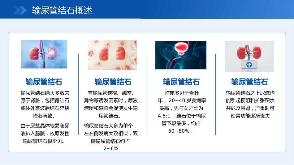 输尿管结石宣教_第6页