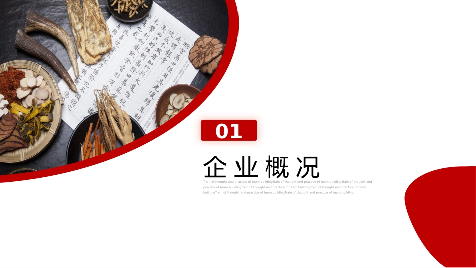 中医药传统医学演讲汇报【无内容模板】_第4页