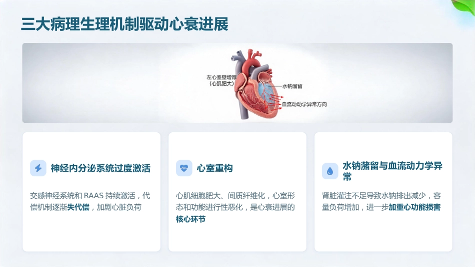慢病时代 心衰有方——慢性心力衰竭护理全流程解析_第7页