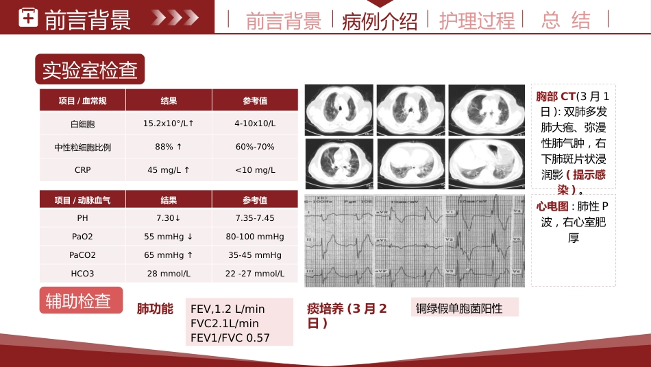 基于循证的慢性阻塞性肺疾病患者个案护理紫色_第8页