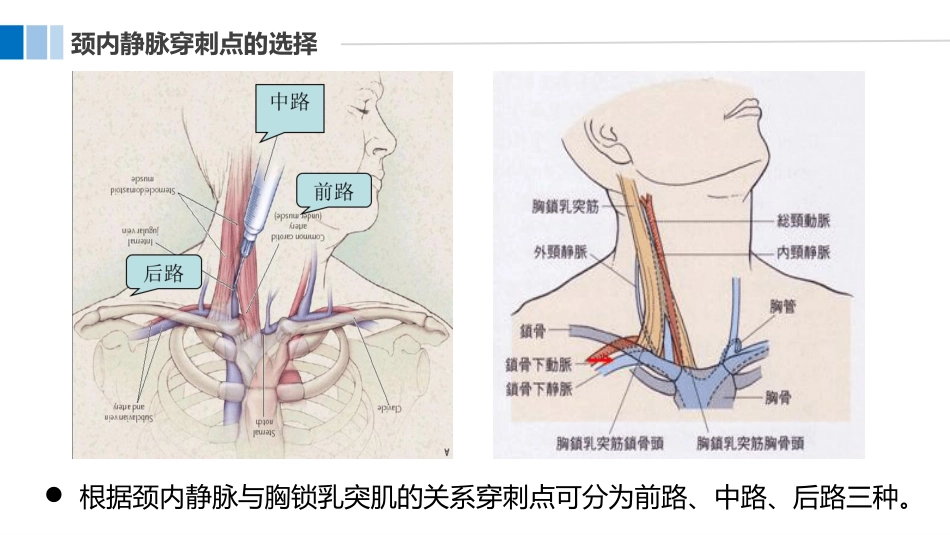 血液透析病人中心静脉导管的护理_第10页