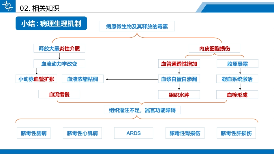 一例药物性肝损伤合并脓毒性休克患者的循证护理查房_第10页