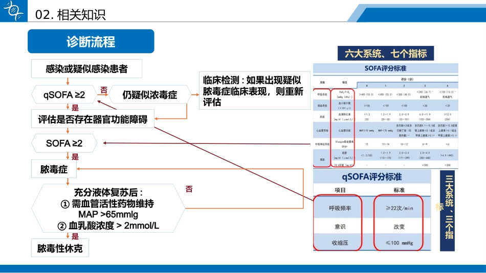 一例药物性肝损伤合并脓毒性休克患者的循证护理查房_第11页