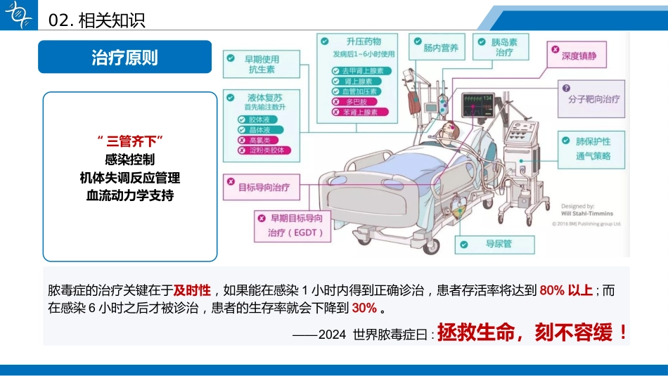 一例药物性肝损伤合并脓毒性休克患者的循证护理查房_第12页