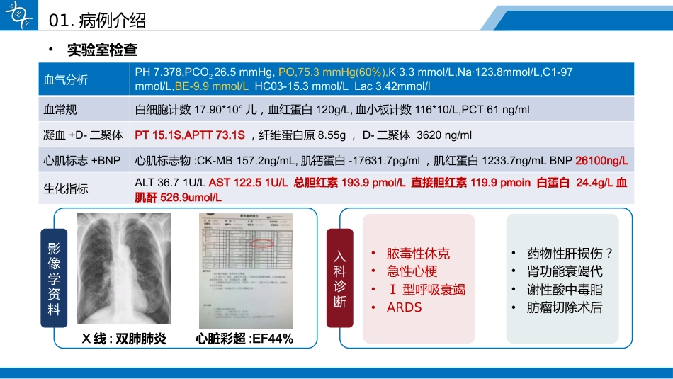 一例药物性肝损伤合并脓毒性休克患者的循证护理查房_第5页
