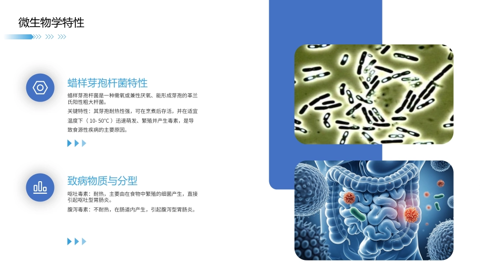 蜡样芽孢杆菌感染护理查房带参考文献_第5页