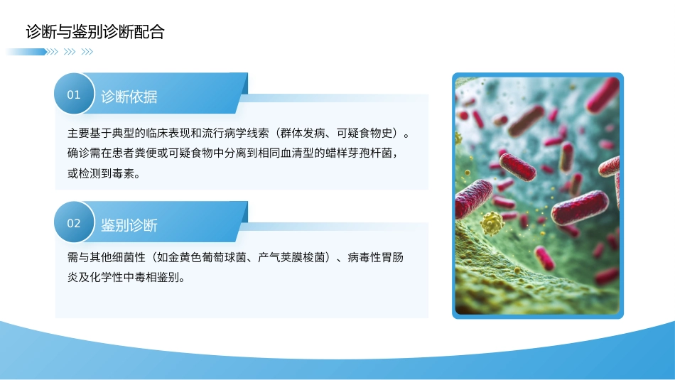 蜡样芽孢杆菌感染护理查房带参考文献_第9页