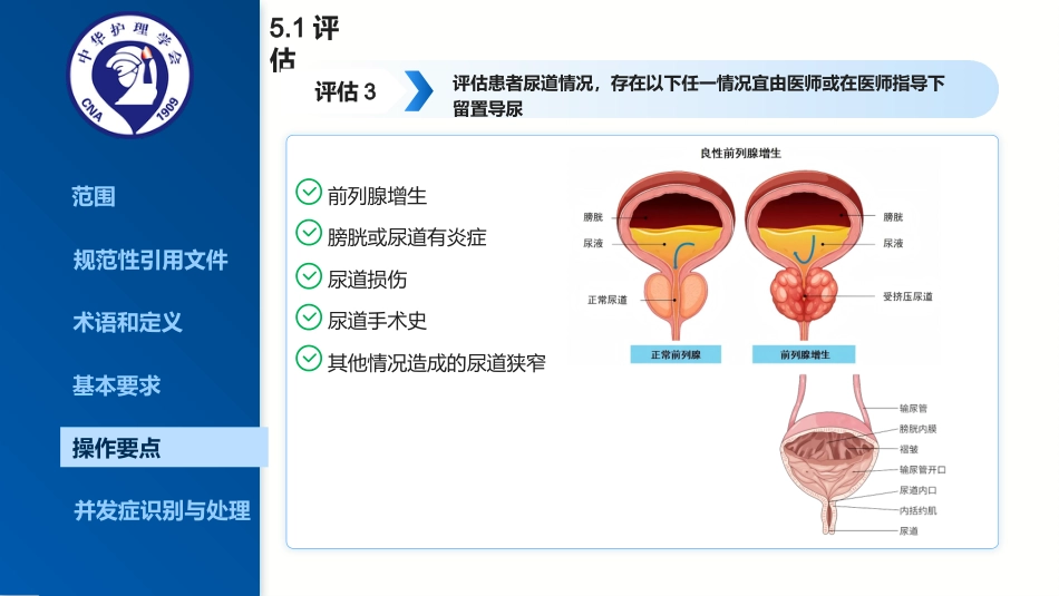 2025最新成人留置导尿的护理及并发症处理_第10页
