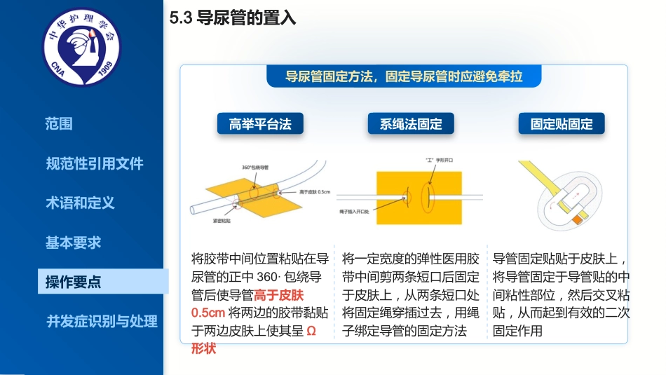 2025最新成人留置导尿的护理及并发症处理_第15页