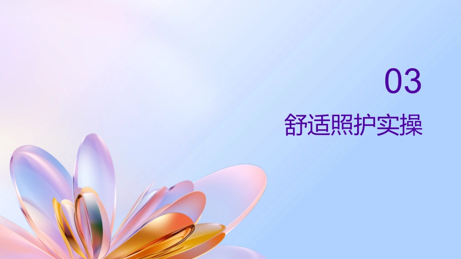 安宁疗护基础照护临床实践指南（2026版）护理培训_第12页