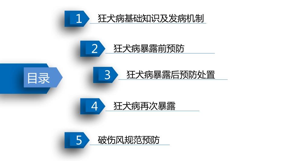 狂犬病及破伤风规范预防_第2页