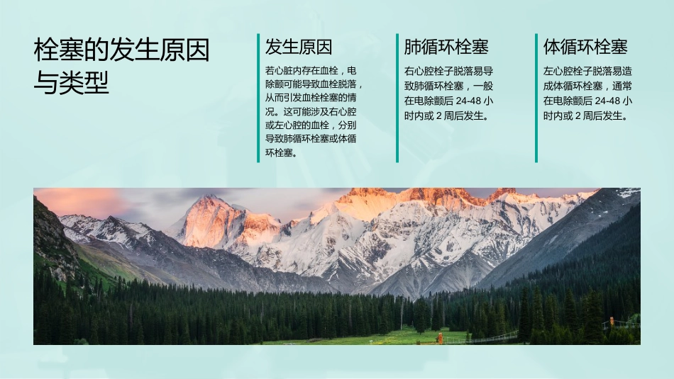 电除颤技术操作并发症的预防及处理_第14页