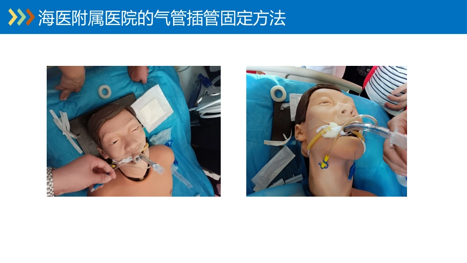 重症专科护士学习汇报_第14页