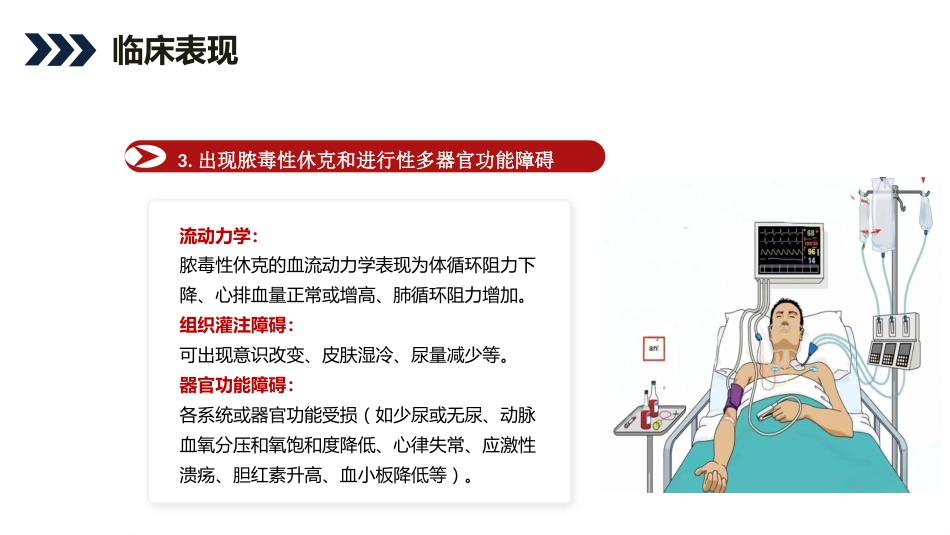 脓毒症患者护理查房_第12页