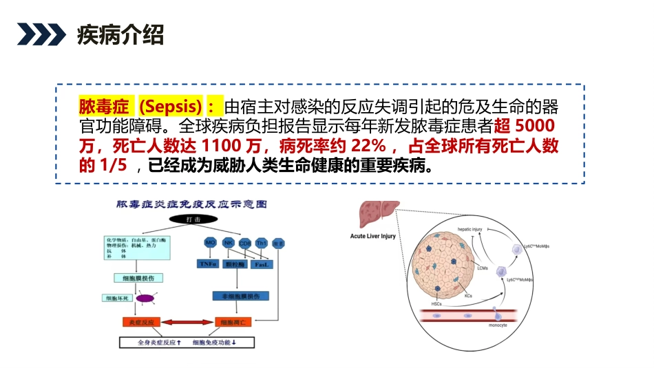 脓毒症患者护理查房_第4页