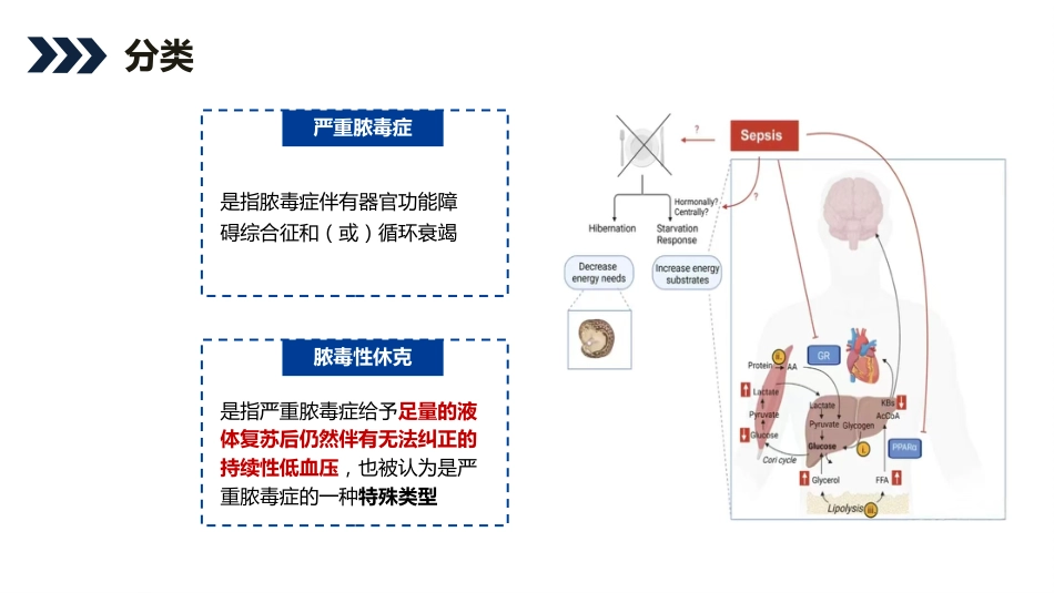 脓毒症患者护理查房_第5页