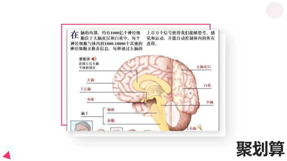 脑出血教学查房_第5页