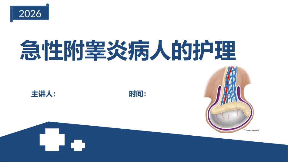 急性附睾炎的护理_第1页