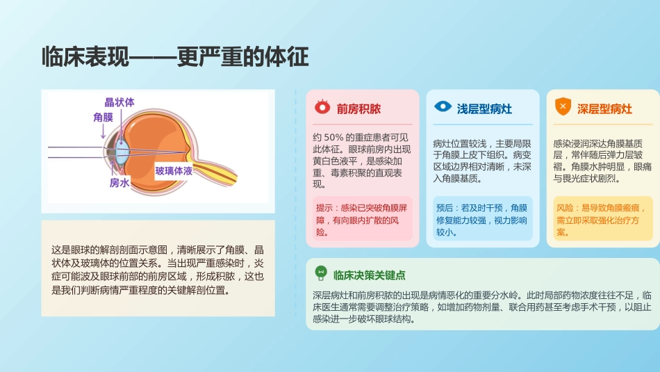 真菌性角膜病规范化护理与临床实践_第8页