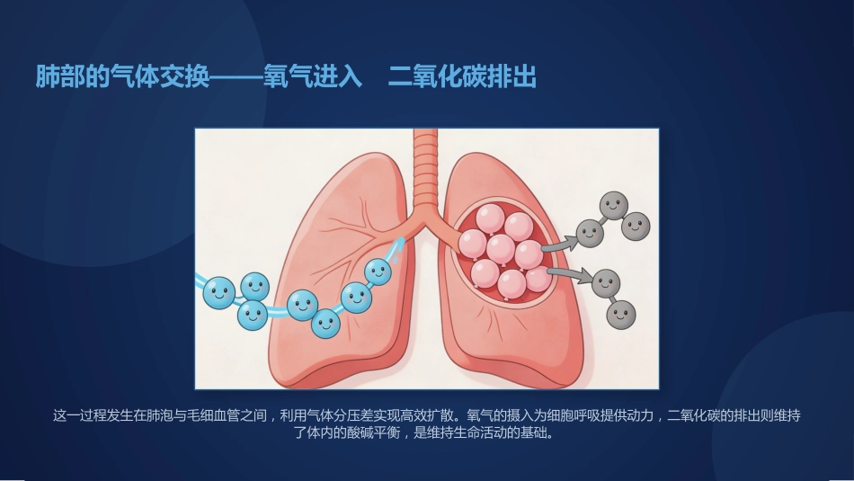 吸氧装置选择与调节方法_第9页