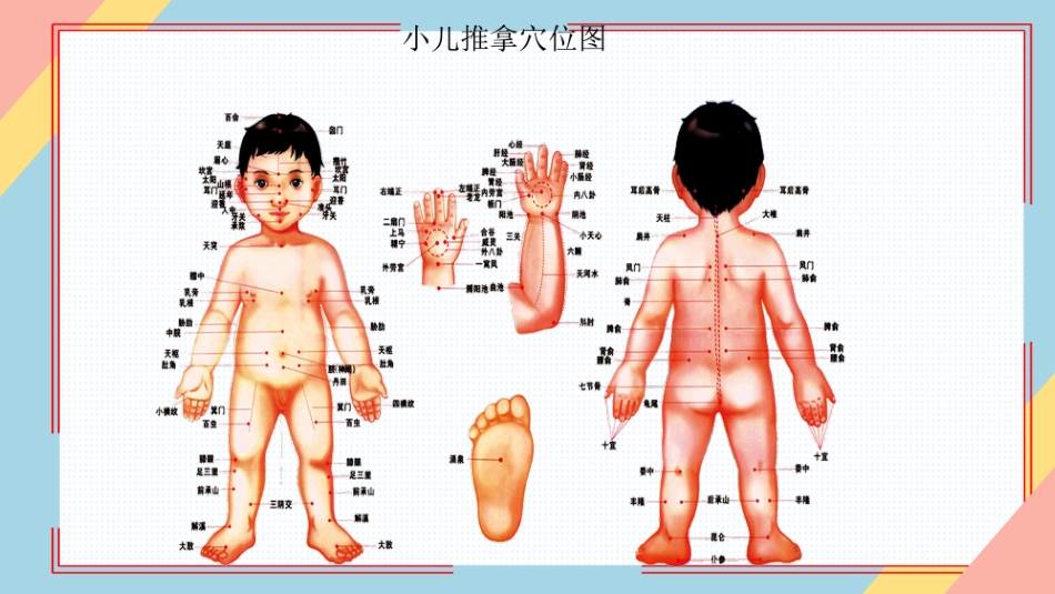 小儿推拿培训——常见穴位_第9页