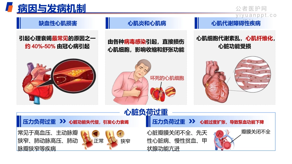 向心衰枷锁突围—重启生命引擎迫在眉睫_第4页