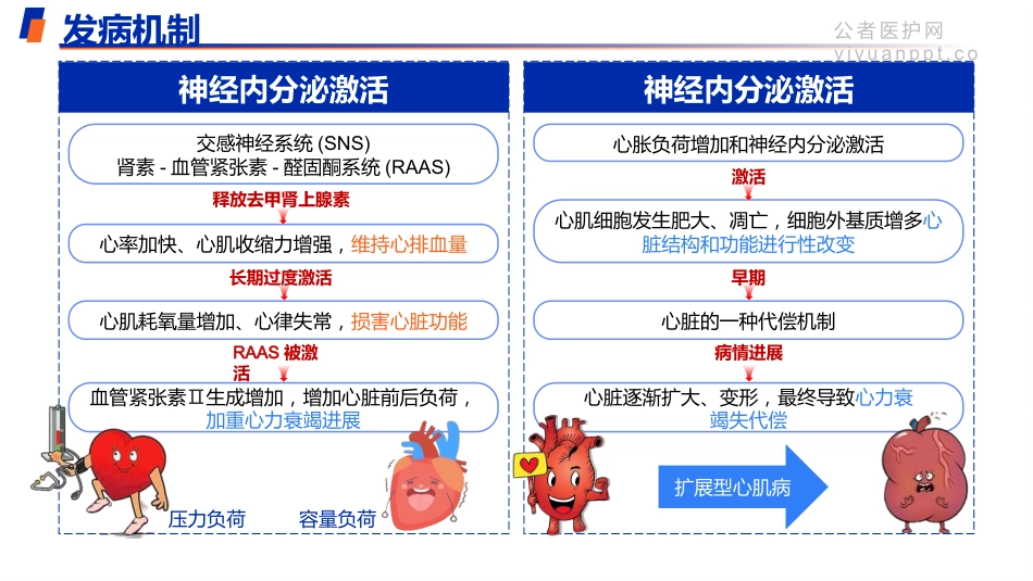 向心衰枷锁突围—重启生命引擎迫在眉睫_第5页