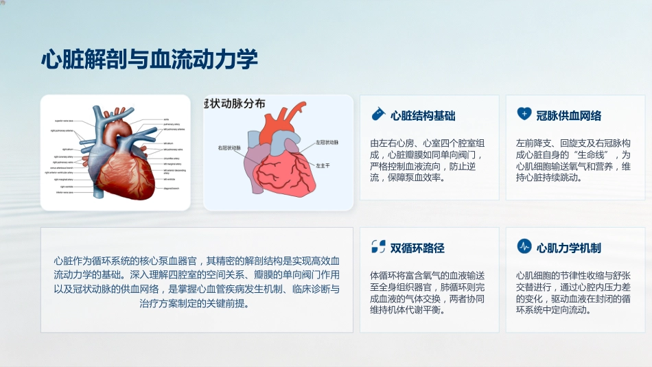 心血管专科护士规范化培训_第8页