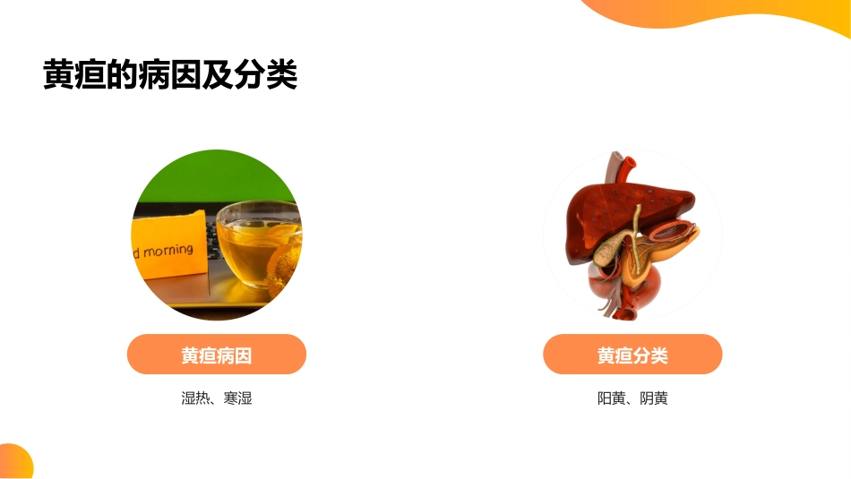 黄疸的中医护理查房【无内容模板】_第10页