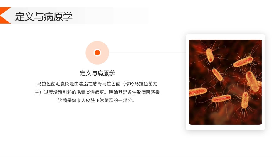 马拉色菌毛囊炎护理查房带参考文献_第4页