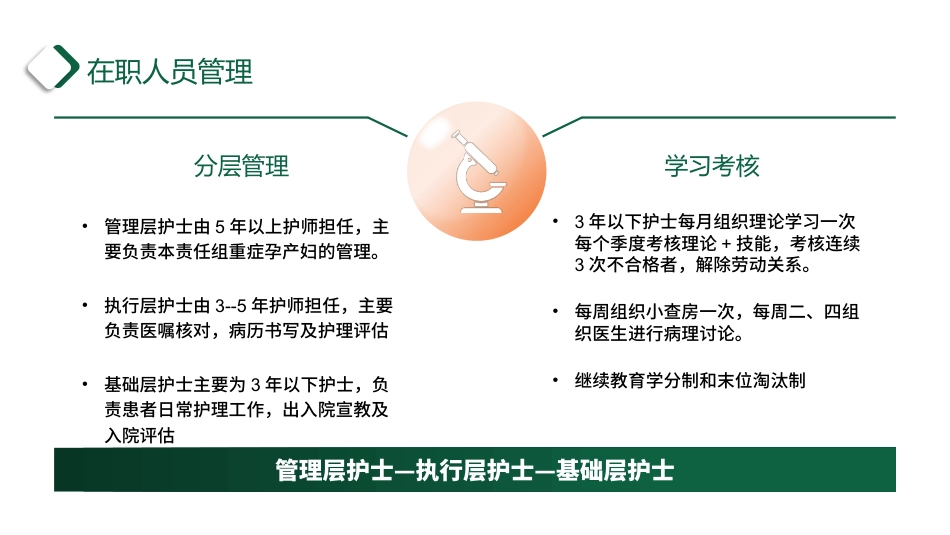 外书护士进修学习汇报_第10页