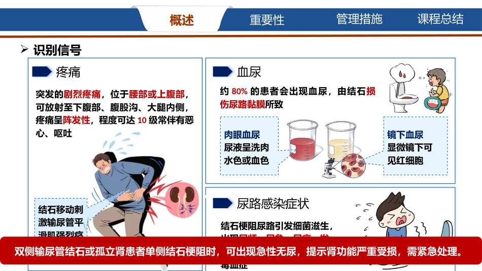 上尿路结石的饮食护理_第8页